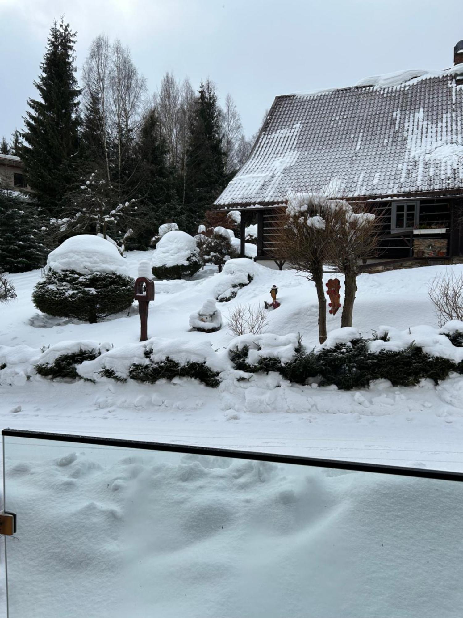 Apartman Roky 6 Rokytnice nad Jizerou Exteriör bild